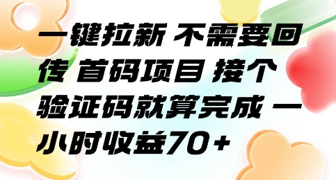 一键拉新 不需要回传 首码项目 接个验证码就算完成 一小时收益70+【揭秘】-网创百晓生