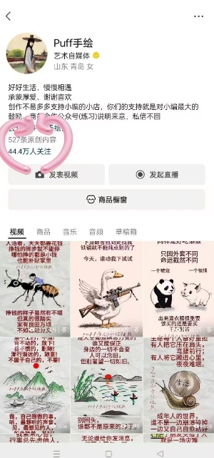 Puff手绘视频号分成项目，三天过分成计划，简单易上手，适合新手-网创百晓生