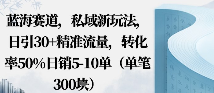 蓝海赛道，私域新玩法，日引30+精准流量，转化率50%日销5-10单（单笔3张）-网创百晓生