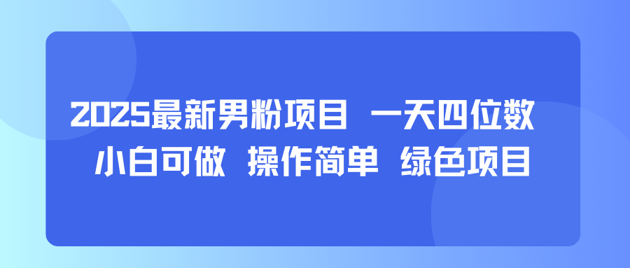 2025最新男粉项目 一天四位数 小白可做 操作简单 绿色项目-网创百晓生