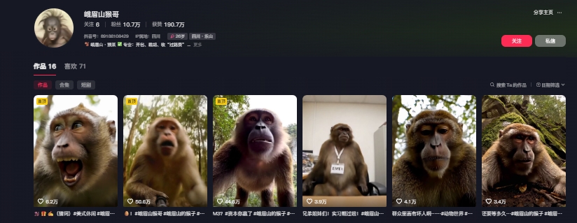 最新爆火的峨眉山猴子短视频制作教程，条条点赞10w+，谁做谁火【教程+提示词】-网创百晓生