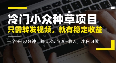 冷门小众种草项目，只需转发视频，每天就有稳定收益，无门槛，每天稳定3张+收入，小白可做-网创百晓生