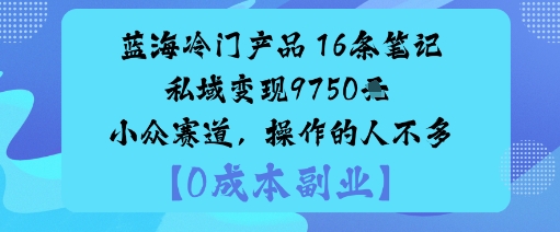 蓝海冷门产品:16条笔记私域变现9750米小众赛道,操作的人不多-网创百晓生