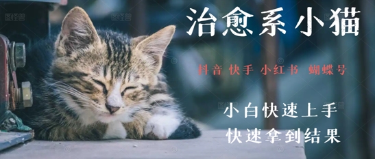拆解，疯狂火爆！抖音，小红书，视频号小猫治愈的视频，轻松制作+快速拿到结果-网创百晓生