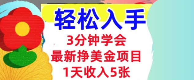 最新挣美金项目，日入5张，3分钟学会，小白轻松入手（长久的被动收入）-网创百晓生