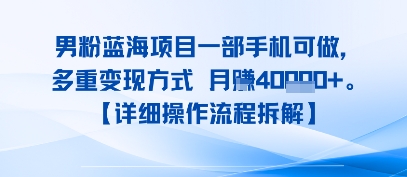 8月新男粉蓝海项目一部手机可做，多重变现方式 月入4W+【详细操作流程拆解】-网创百晓生