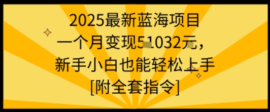 2025最新蓝海项目一个月变现1w+新手小白也能轻松上手【附全套指令】-网创百晓生