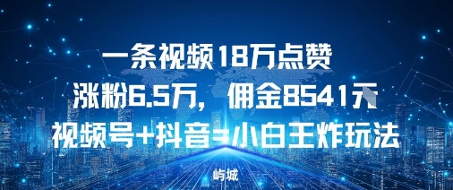 一条视频18W点赞涨粉6.5W，佣金8541视频号+抖音=小白王炸玩法-网创百晓生