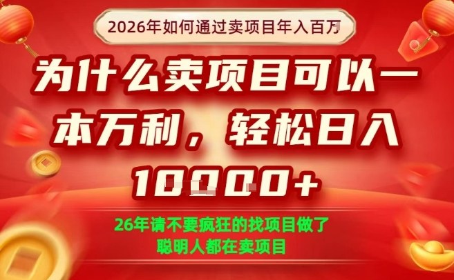 一单净利润1K+，26年想年入100个W，死磕卖项目就够了【揭秘】-网创百晓生