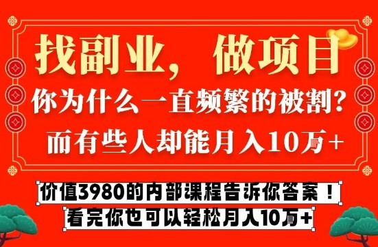 价值3980的网创内部课程，告诉你互联网创业月入10个W的秘密【揭秘】-网创百晓生