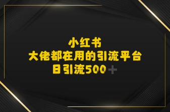 小红书，大佬都在用的大粉平台，日引流500+-网创百晓生