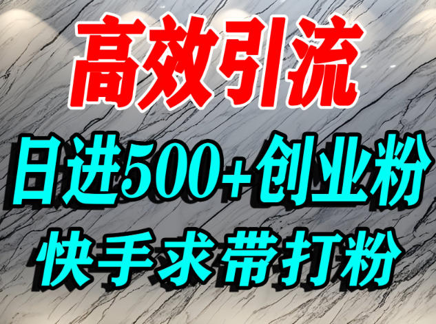怎么打创业粉？快手求带视角精准引流创业粉，宝妈、学生群体日进500+精准流量-网创百晓生