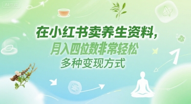 在小红书卖养生资料，月入四位数非常轻松，多种变现方式-网创百晓生