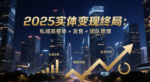 2025实体变现终局：私域高客单+发售+团队管理-网创百晓生