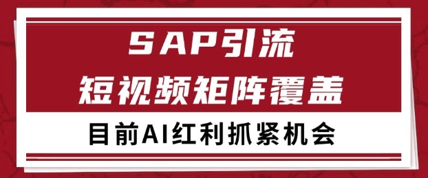 小红书某音sap赛道引流获客 自热矩阵日引200+【揭秘】-网创百晓生