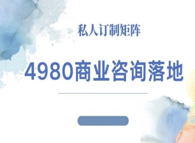 4980商业咨询师落地课程-ip运营高客单教程-网创百晓生