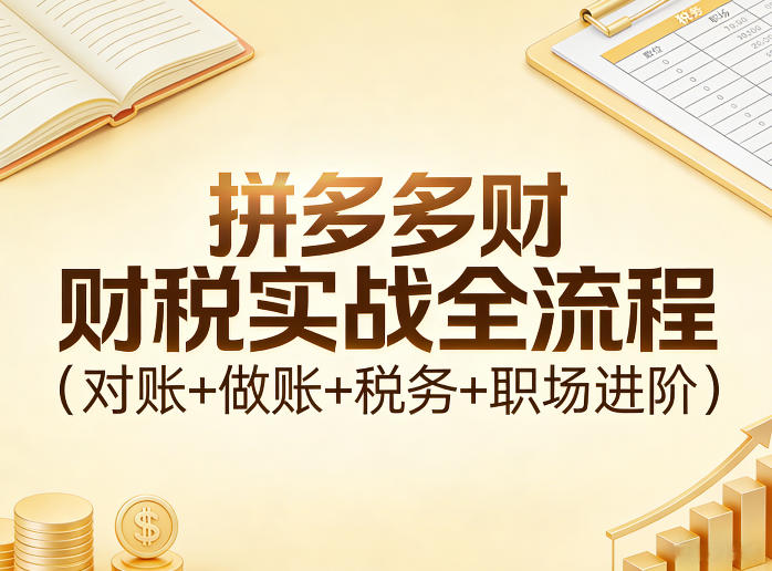 拼多多财税实战全流程（对账+做账+税务+职场进阶）-网创百晓生