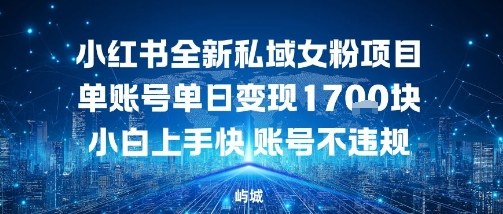 小红书全新私域女粉项目单账号单日变现多张，小白上手快账号不违规建议准备多账号操作-网创百晓生