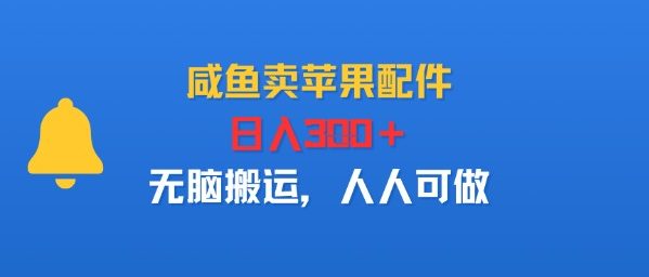 咸鱼卖苹果配件，日入3张+，无脑搬运，人人可做-网创百晓生