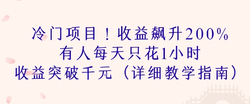 冷门项目！收益飙升200% 有人每天只花1小时 收益突破1k(详细教学指南)-网创百晓生