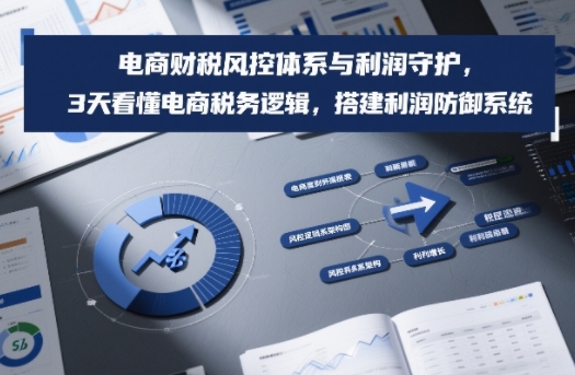 电商财税风控体系与利润守护，3天看懂电商税务逻辑，搭建利润防御系统-网创百晓生