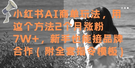 小红书AI商单玩法，用这个方法2个月涨粉7W+，新手也能接品牌合作(附全套指令模板)-网创百晓生
