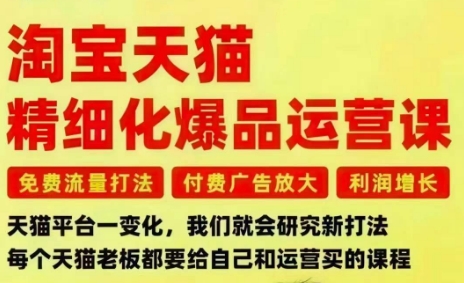 淘宝天猫精细化爆品运营课，免费流量打法-付费广告放大-利润增长-三大核心痛点，一次全部解决-网创百晓生