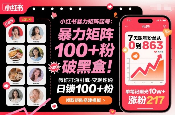 小红书暴力矩阵起号，教你打通引流-变现速通，日锁100+粉，破流量黑盒-网创百晓生