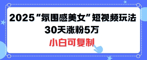 不露脸也能火！2025“氛围感美女”短视频玩法，30天涨粉5W小白可复制-网创百晓生