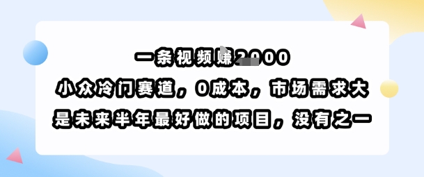 一条视频挣1k，小众冷门赛道，0成本，市场需求大，是未来半年最好做的项目，没有之一-网创百晓生