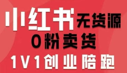 小红书无货源0粉电商课，开店准备、选品策略、笔记撰写、视频剪辑、数据分析、账号打造、资料文档（更新）-网创百晓生