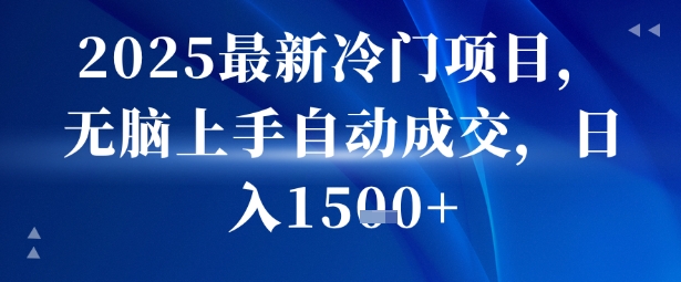 2025最新冷门项目，无脑上手自动成交，日入多张-网创百晓生
