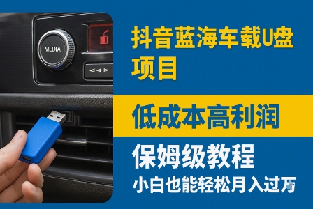 抖音蓝海车载U盘项目，低成本高利润保姆级教程，小白也能轻松月入过W-网创百晓生