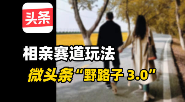 微头条“野路子3.0”相亲赛道玩法，搬砖式操作单号稳定3张-网创百晓生