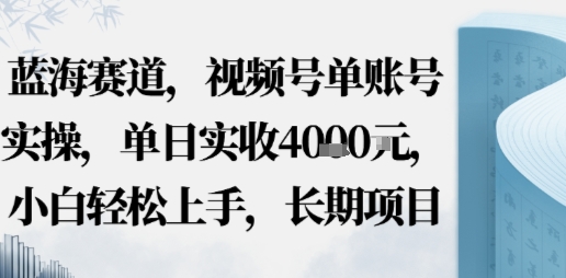 蓝海赛道，视频号单账号实操，单日实收1k，小白轻松上手，长期项目-网创百晓生