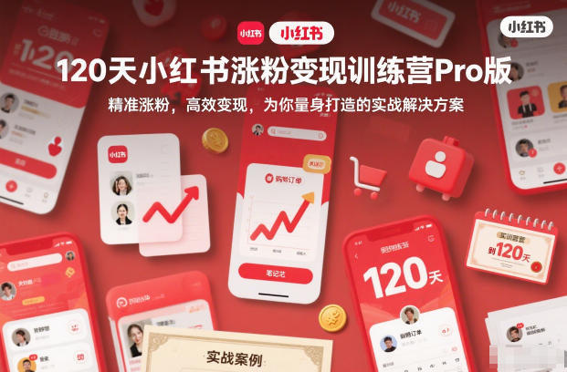 120天小红书涨粉变现训练营Pro版，精准涨粉，高效变现，为你量身打造的实战解决方案-网创百晓生