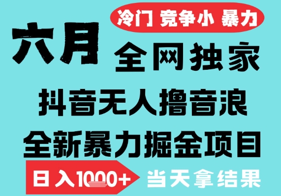 2025年6月高爆抖音无人直播最新撸音浪掘金项目，无脑日入1k+，低门槛小白可做，可矩阵放大【揭秘】-网创百晓生