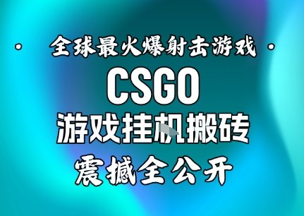 【年底大揭秘】基于全球最火爆的射击CSGO游戏挂G搬砖，日入5张+，震撼公开-网创百晓生
