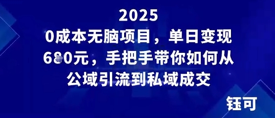 0成本无脑项目，单日变现多张，手把手带你如何从公域引流到私域成交-网创百晓生