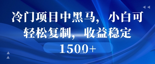 冷门项目中黑马，小白可轻松复制，收益稳定1.5k-网创百晓生