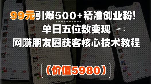 99元引爆500+精准创业粉！单日五位数变现，网创朋友圈获客核心技术教程-网创百晓生