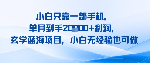 小白只靠一部手机，单月到手2W+利润，玄学蓝海项目，小白无经验也可做-网创百晓生