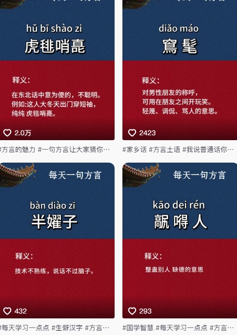 抖音最新涨粉玩法，图文方言暴力涨粉实操，126作品涨粉11W-网创百晓生