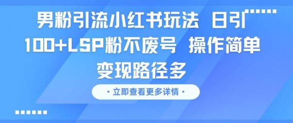 男粉引流小红书玩法，日引100+LSP粉不废号，操作简单，变现路径多-网创百晓生