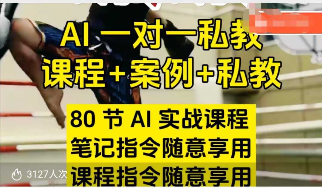 AI指令实战课，课程+案例，80节AI实战课程，笔记指令随意享用，课程指令随意享用（更新7月）-网创百晓生