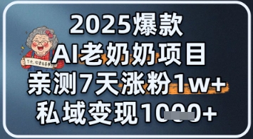 2025爆款 AI 老奶奶项目：亲测 7 天涨粉 1W+，私域变现 1k+-网创百晓生