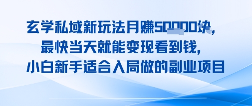 玄学私域新玩法月入1W+，最快当天就能变现看到米，小白新手适合入局做的副业项目-网创百晓生