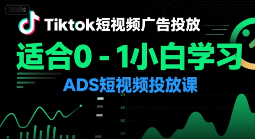 Tiktok短视频广告投放，适合0-1小白学习ADS短视频投放课-网创百晓生