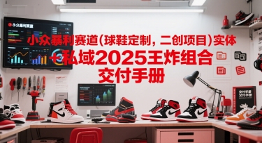 小众暴利赛道(球鞋定制，二创项目)实体+私域2025王炸组合 交付手册-网创百晓生