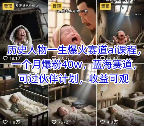 历史人物一生爆火赛道ai课程，一个月爆粉40w，蓝海赛道，可过伙伴计划，收益可观-网创百晓生